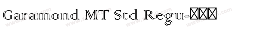 Garamond MT Std Regu字体转换